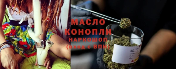 индика Беломорск