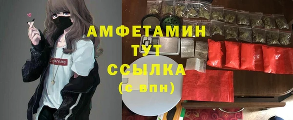 индика Беломорск