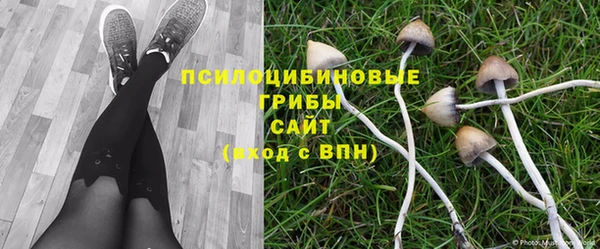 марки nbome Белокуриха