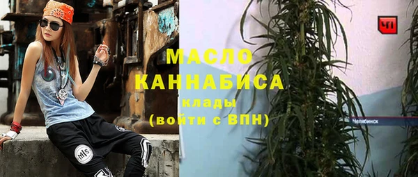 индика Беломорск