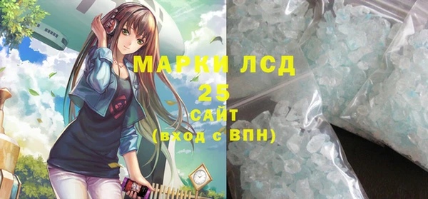 индика Беломорск