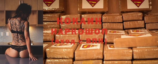 индика Беломорск