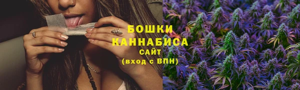 индика Беломорск