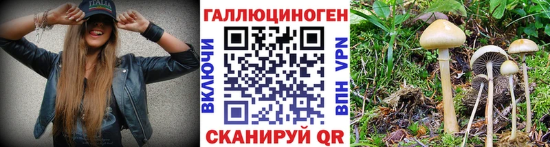 Псилоцибиновые грибы мицелий  купить наркотики сайты  Красноуфимск 